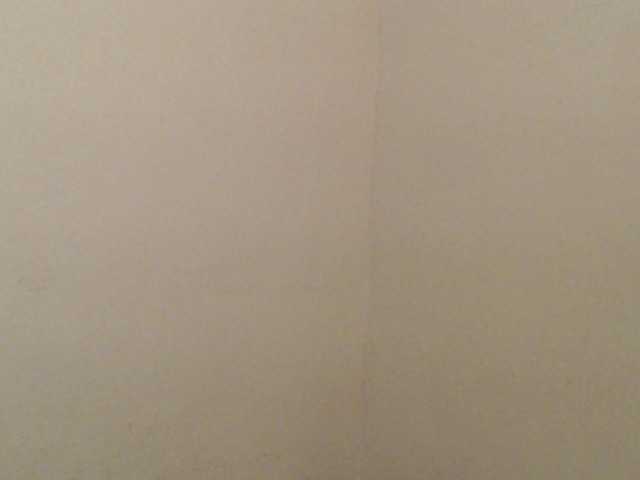 Скриншоты трансляции kitty-katia