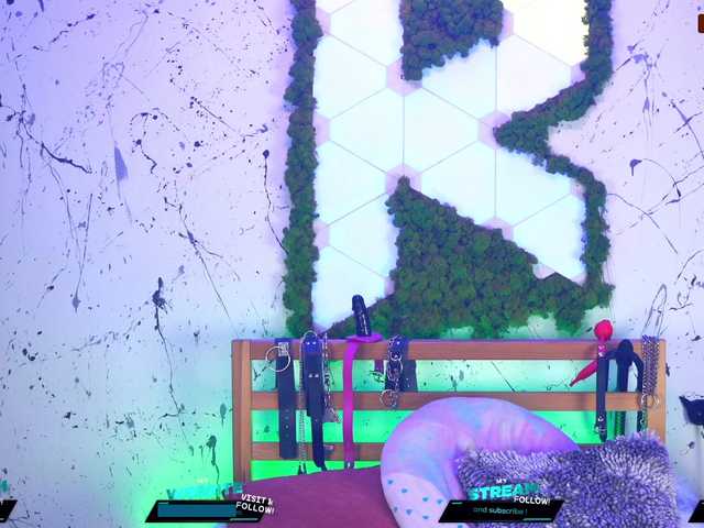Скриншоты трансляции Kittygy