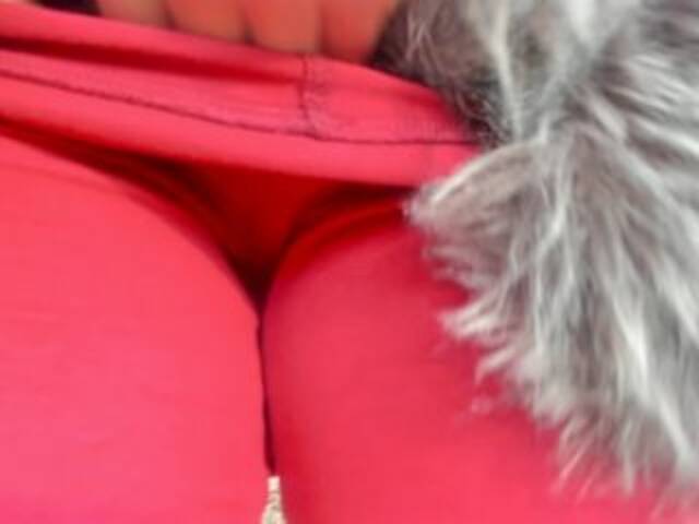 Скриншоты трансляции sexyit09