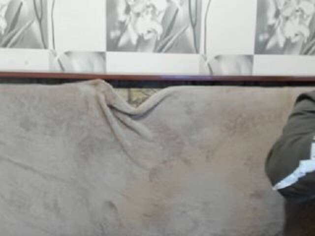 Скриншоты трансляции sexyit09