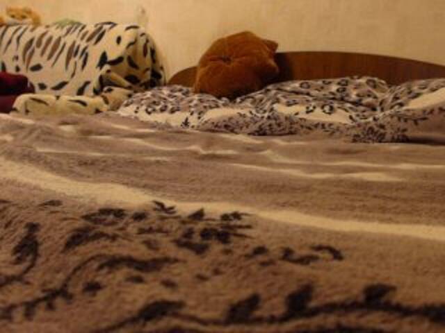 Скриншоты трансляции LisBlackVlady