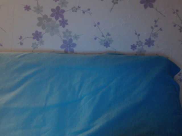 Скриншоты трансляции littledevi