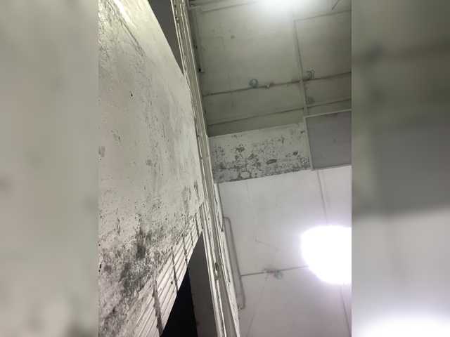 Скриншоты трансляции Lolipops69