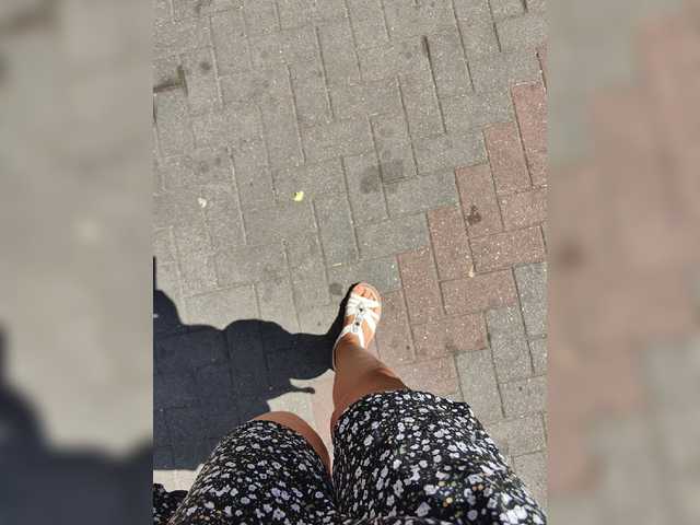 Скриншоты трансляции -Savanna-