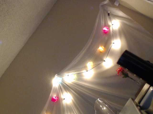 Скриншоты трансляции melrose2strip