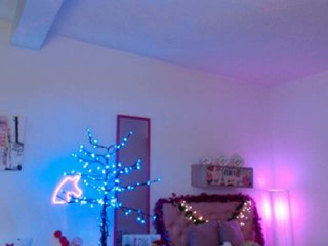 Скриншоты трансляции Miss-Bonnie