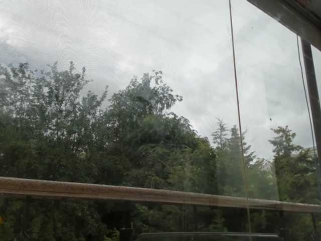 Скриншоты трансляции MissAriana