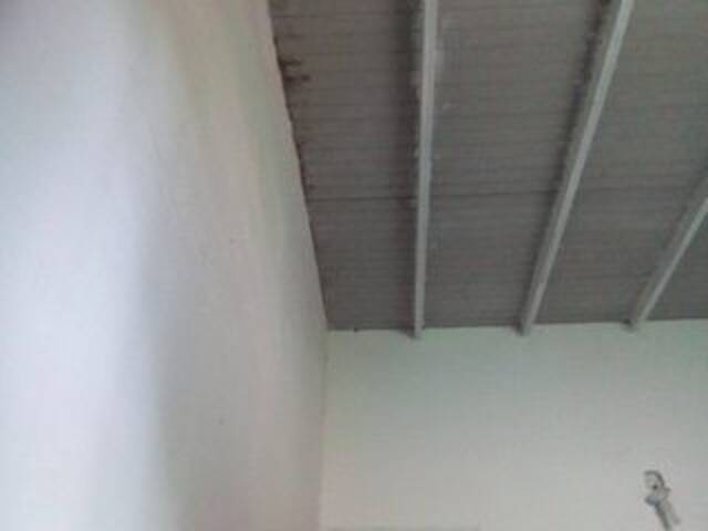 Скриншоты трансляции misscute