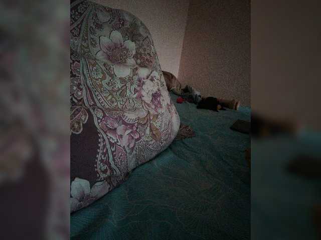 Скриншоты трансляции SHAMBA_LA