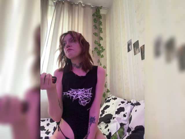 Скриншоты трансляции Molly-