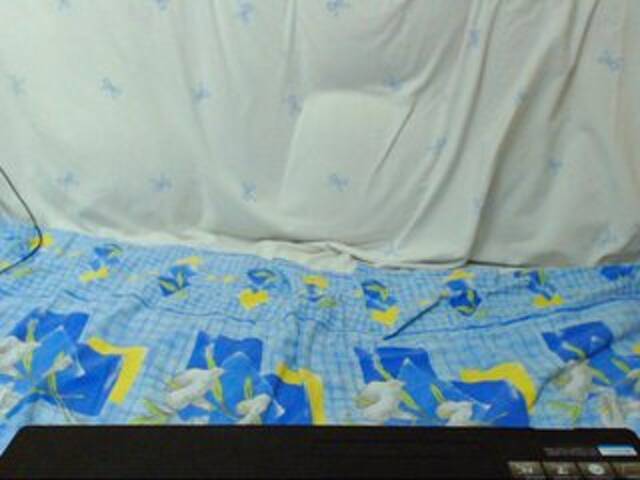 Скриншоты трансляции Morphinee