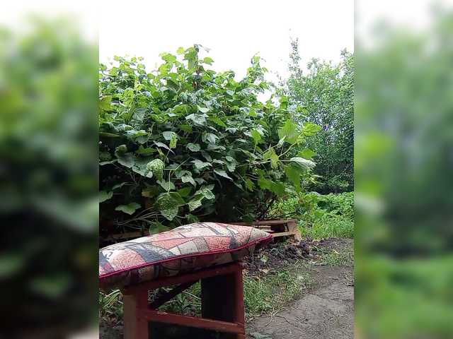Скриншоты трансляции Natka35
