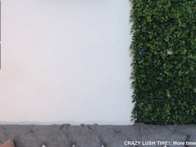 Скриншоты трансляции NicoleThomas