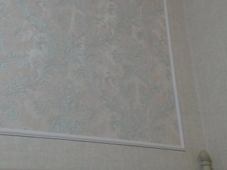 Скриншоты трансляции _Noele_