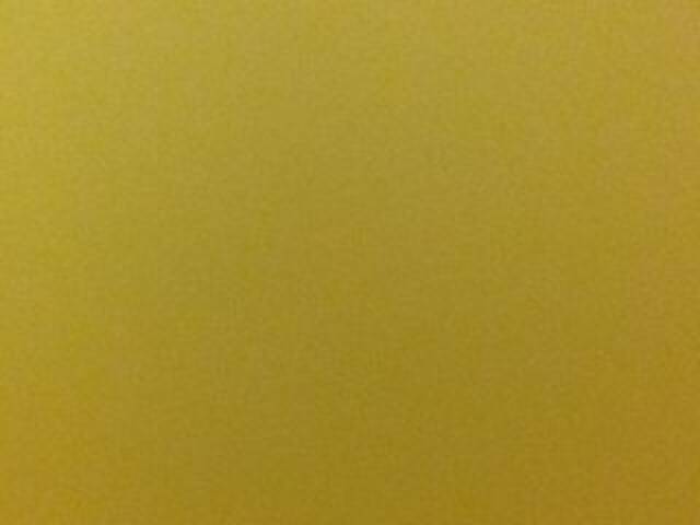 Скриншоты трансляции OceanyCat