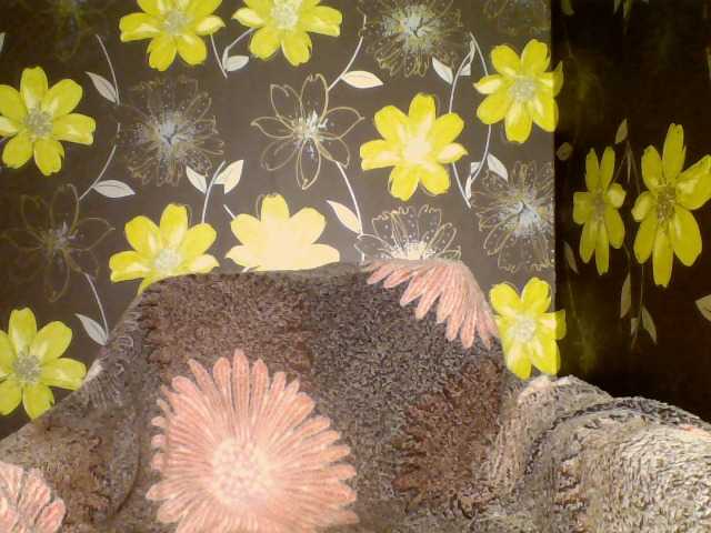 Скриншоты трансляции ParisCindy