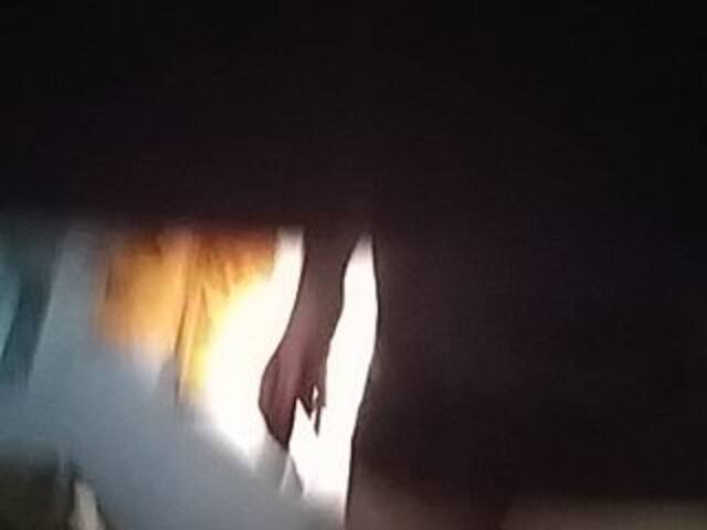 Скриншоты трансляции Penthousepet1