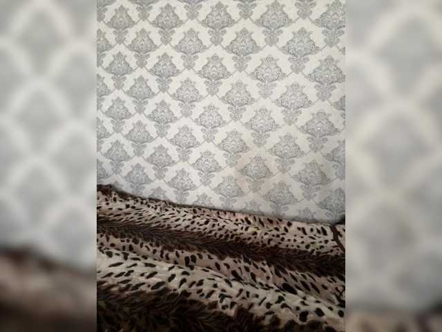 Скриншоты трансляции praesertim