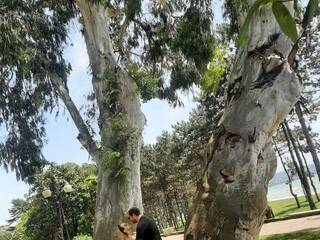 Эротический видеочат PUPI-DEL-REY