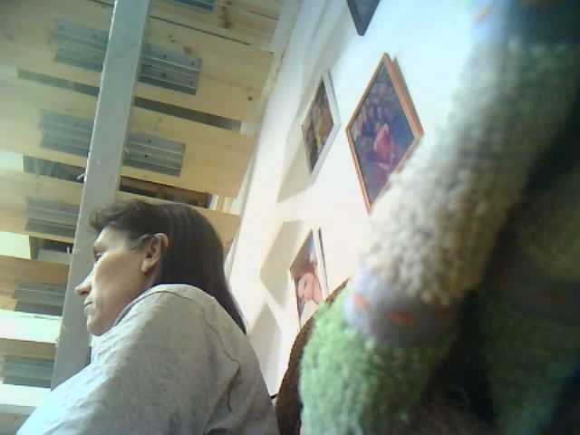 Скриншоты трансляции rada2020