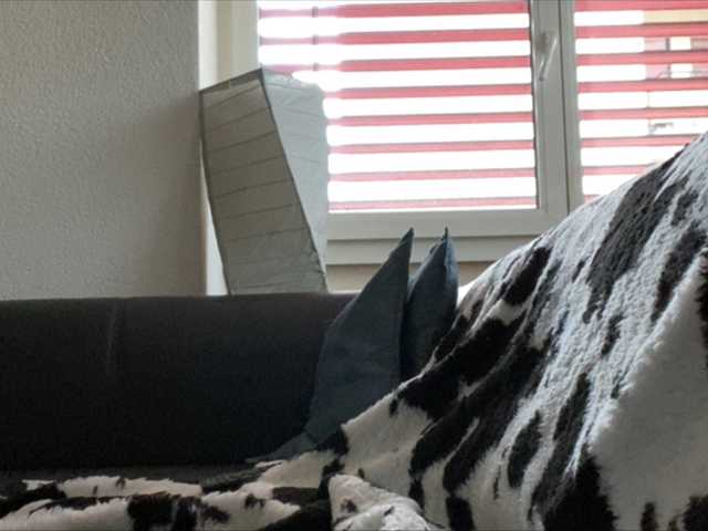 Скриншоты трансляции Tifffannny