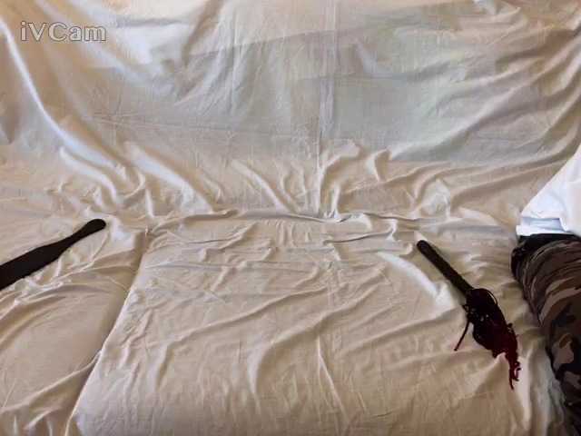 Скриншоты трансляции ParaSPB