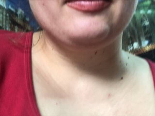 Скриншоты трансляции Kroxa12