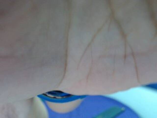 Скриншоты трансляции sexycarol