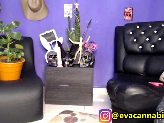 Скриншоты трансляции evacannabithc