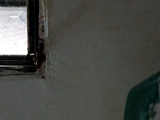 Эротический видеочат shelbyn