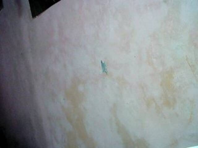 Скриншоты трансляции simplemary