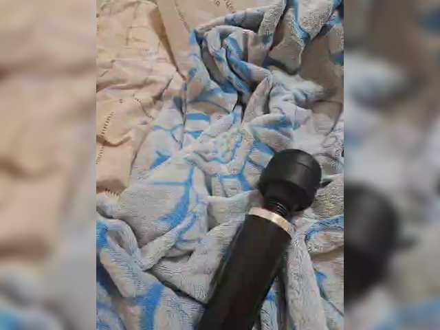 Скриншоты трансляции small-cat