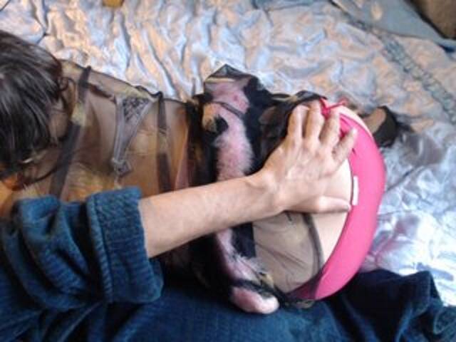 Скриншоты трансляции Masha_Ivanova