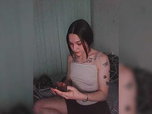 Скриншоты трансляции Stasia533
