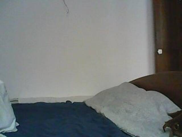 Скриншоты трансляции stefy-show