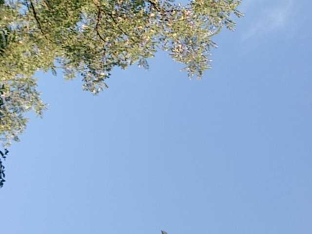 Скриншоты трансляции StreetLove2