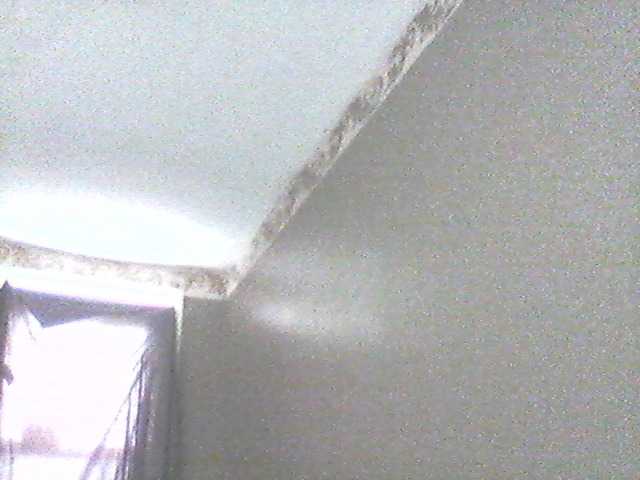 Скриншоты трансляции supa19kitty