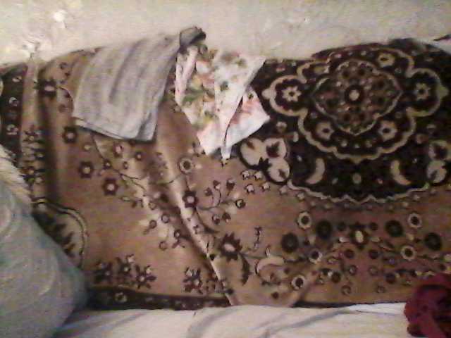 Скриншоты трансляции sveetyllena