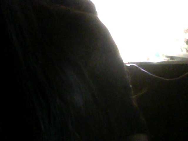 Скриншоты трансляции SweetGrace