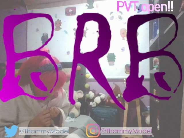 Скриншоты трансляции ThammyModell