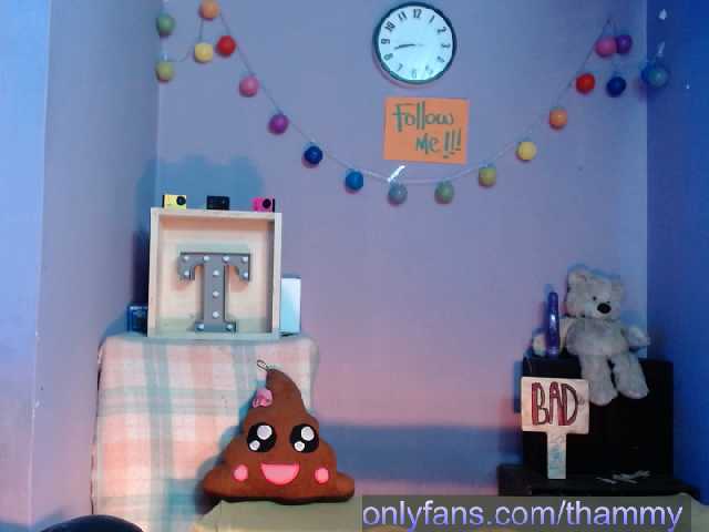 Скриншоты трансляции ThammyModell