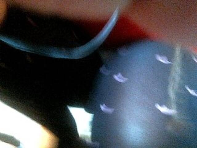 Скриншоты трансляции TINAMILFXXX