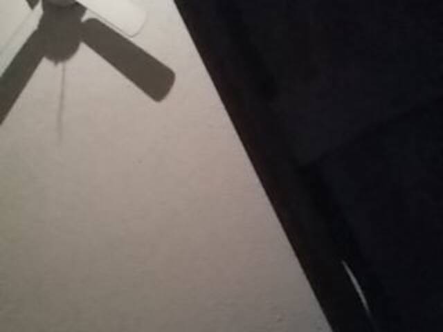 Скриншоты трансляции TooWetLucy