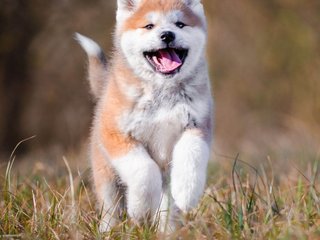 Эротический видеочат Val309a