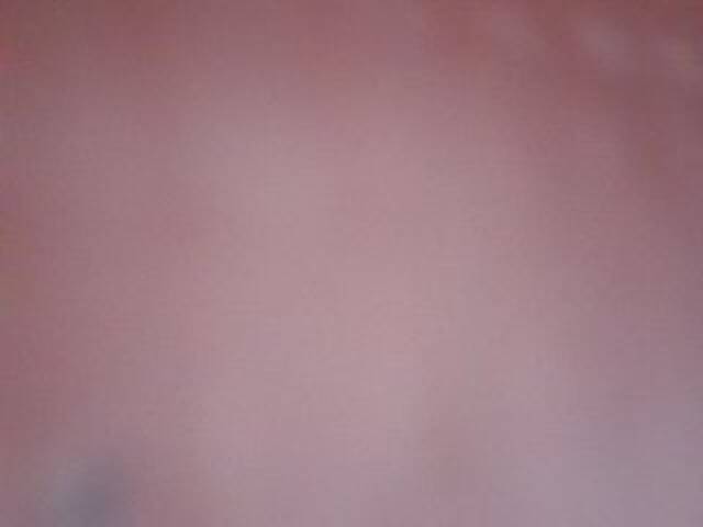 Скриншоты трансляции Valentinina10