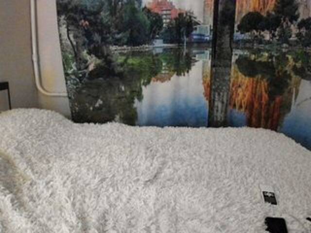 Скриншоты трансляции WetDiffy