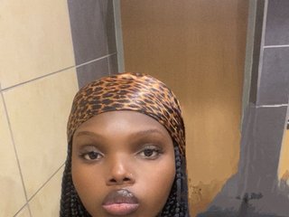 Эротический видеочат Wildcata