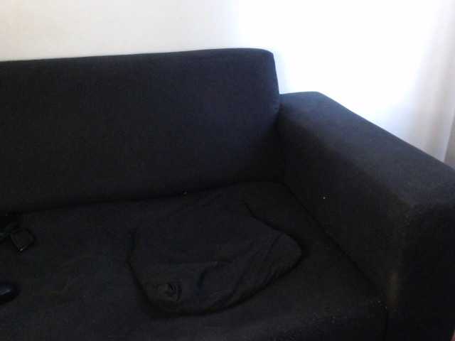 Скриншоты трансляции WildPetal963