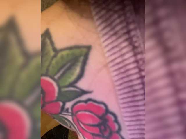 Скриншоты трансляции Wow-Eva