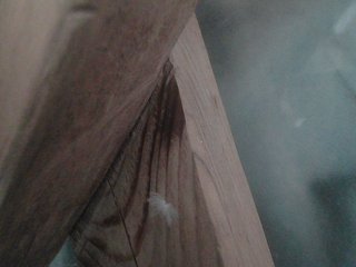 Эротический видеочат YasminaGeil